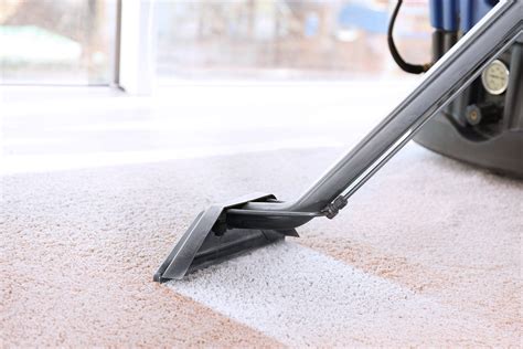 magna dry carpet cleaning reviews