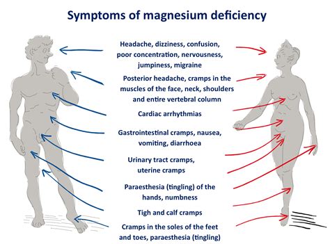 Magnesium Deficiency Light Sensitivity