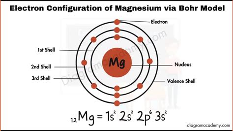 Unveiling Magnesium's Secrets: Electron Distribution Demystified