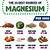 magnesium-rich foods chart printable