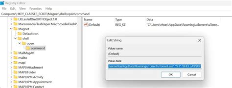 Magnet App Not Working