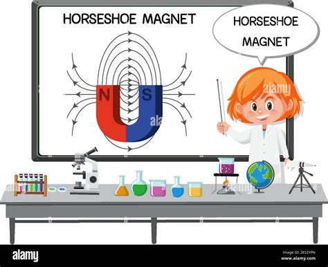 Magnet Scientist