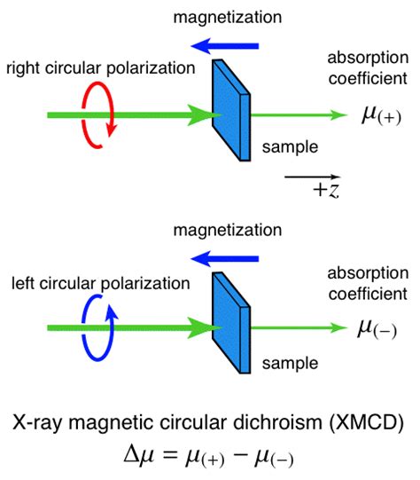 Magnetic Circular Dichroism Reflection