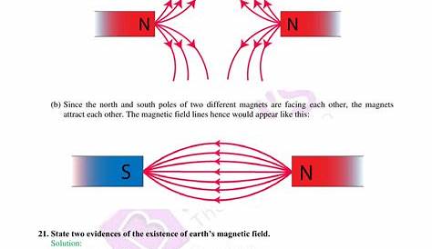 Magnetism and Matter Notes Class 12 - LearnnCBSE