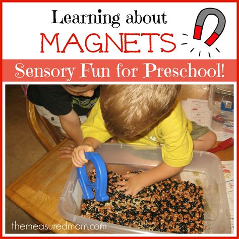 magnets activities for preschoolers