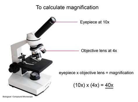 Magnification Microscope Function