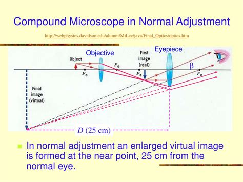 Magnification Of Compound Microscope In Normal Adjustment