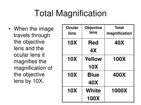Magnification Yellow Lens Microscope