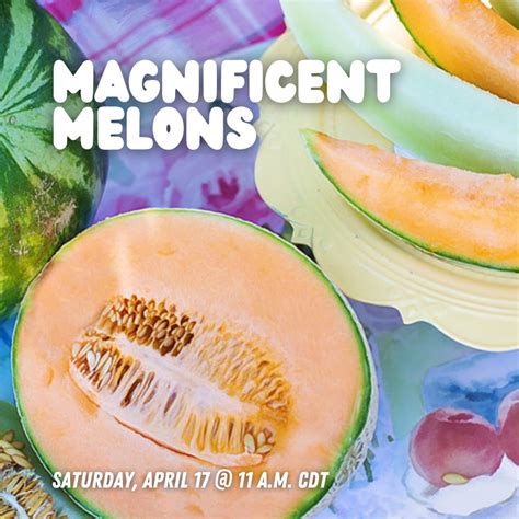 magnificent melons 2