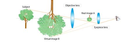 Magnified Definition And Example