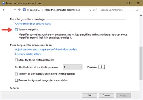 Magnifier On Windows Startup