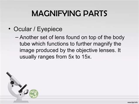 Magnify The Image Produced By The Objective Lens