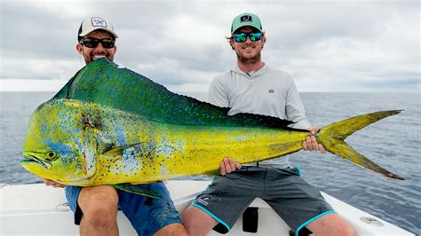 Mahi Mahi Record Length