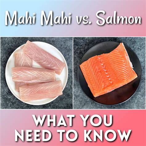 mahi mahi vs salmon