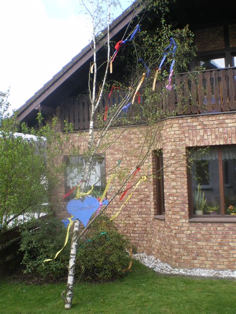 maibaum kaufen neuss