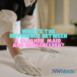 Maid And Cleaner Difference