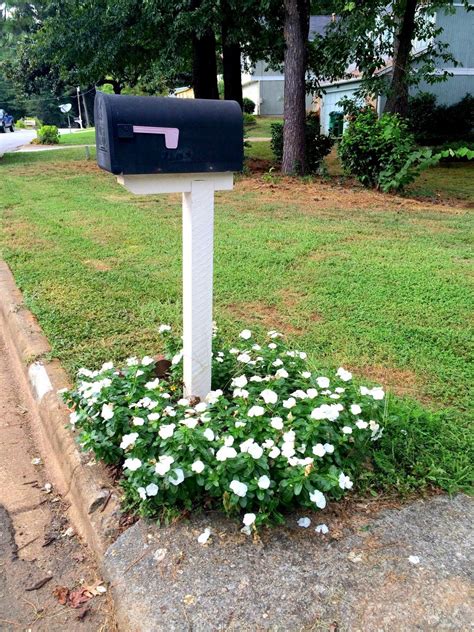 Mailbox Flowers Ideas