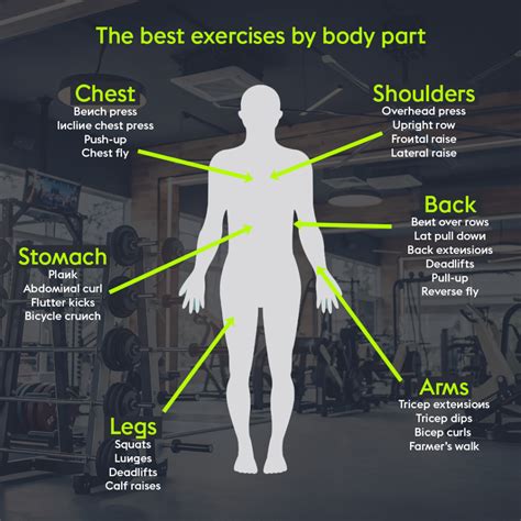 Main Exercises  A Guide To Staying Fit