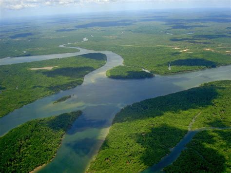 Main Source Of Amazon River