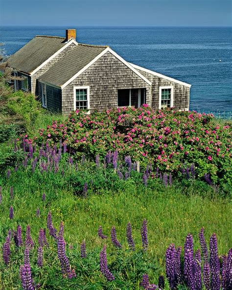 maine coastal cottages for staycation