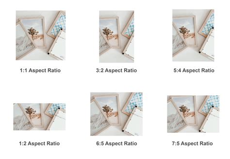 Understanding Common Photo Print Sizes and Crop Ratios Erin Wolczik