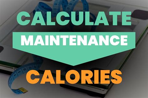 maintenance calorie calculator nz