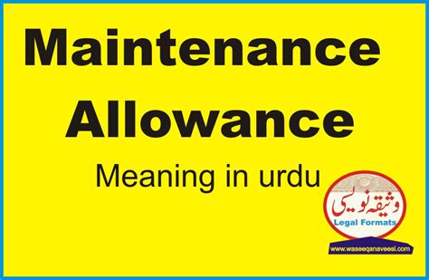 maintenance meaning in urdu with example