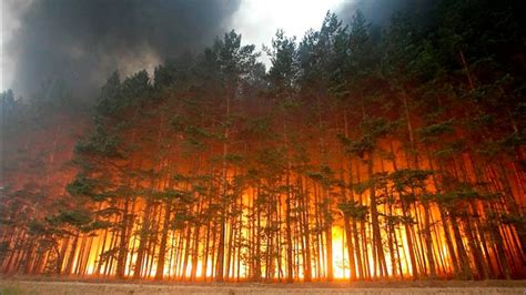 maior incêndio do mundo