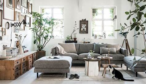 Maison Decoration Scandinave Salon Ladolceviedchat.fr