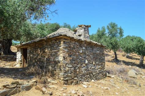 Maison antique grecque 1/72 Maison, Design, Figurines