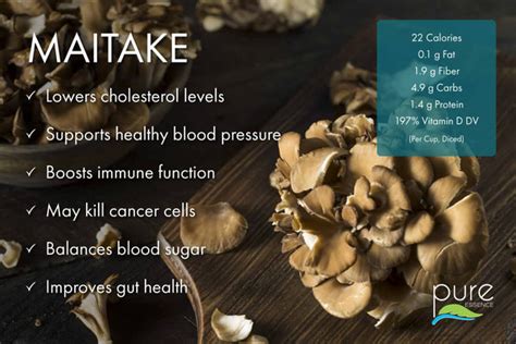 Maitake Meaning