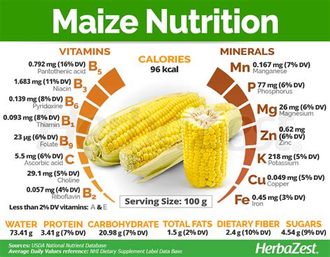 Maize Flour Calories