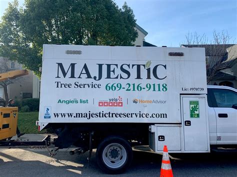 majestic tree service san jose