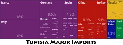 major imports of tunisia
