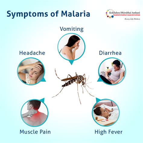 major symptoms of malaria