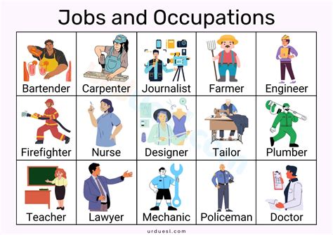 A Guide To The Major Types Of Occupation Explained