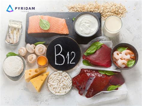 makanan kaya vitamin B12