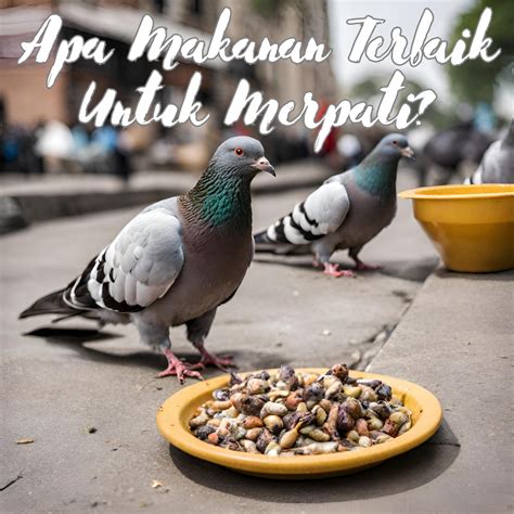 Makanan Merpati