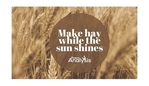 Idiom of the day 'Make hay while the sun shines' YouTube