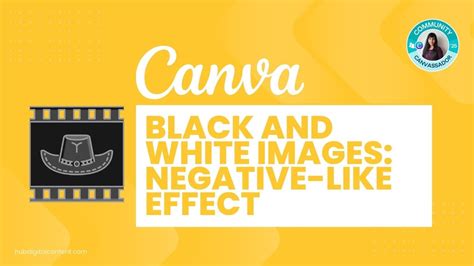 Make Picture Negative Canva