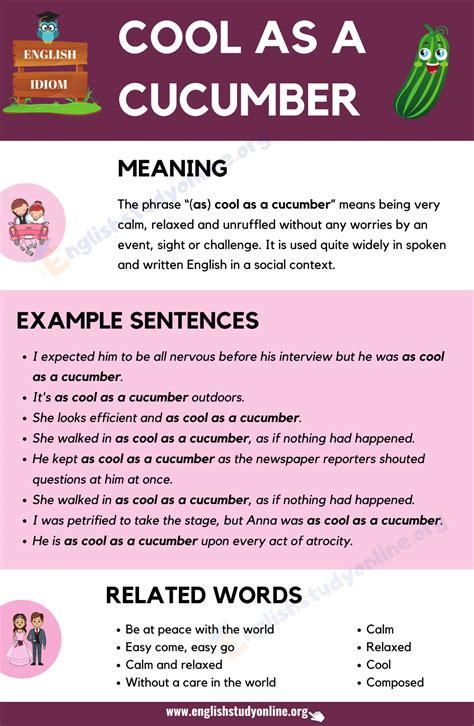 make a sentence with cool as a cucumber