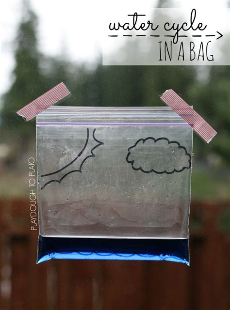 make a water cycle in a bag