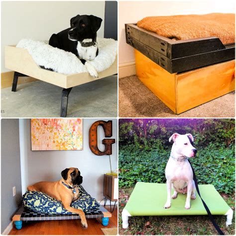 Make An Elevated Dog Bed