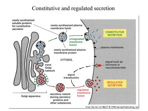 make constitutive traffic