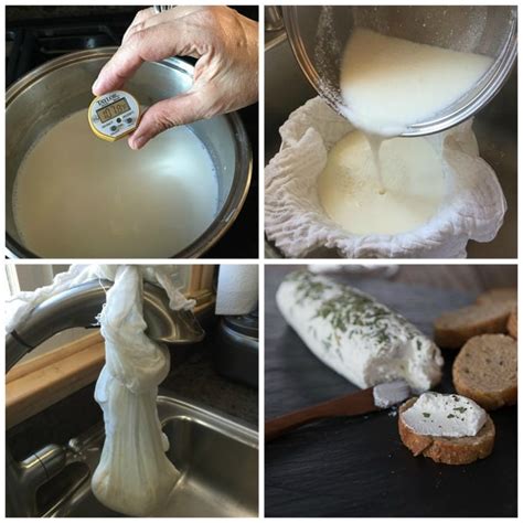 make goat cheese at home