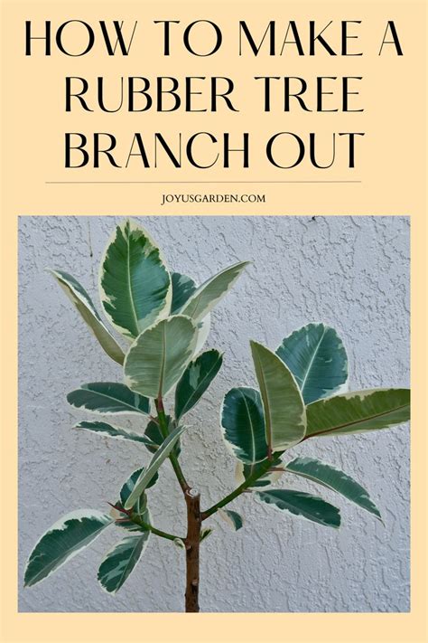 Make Like A Tree And Branch Out