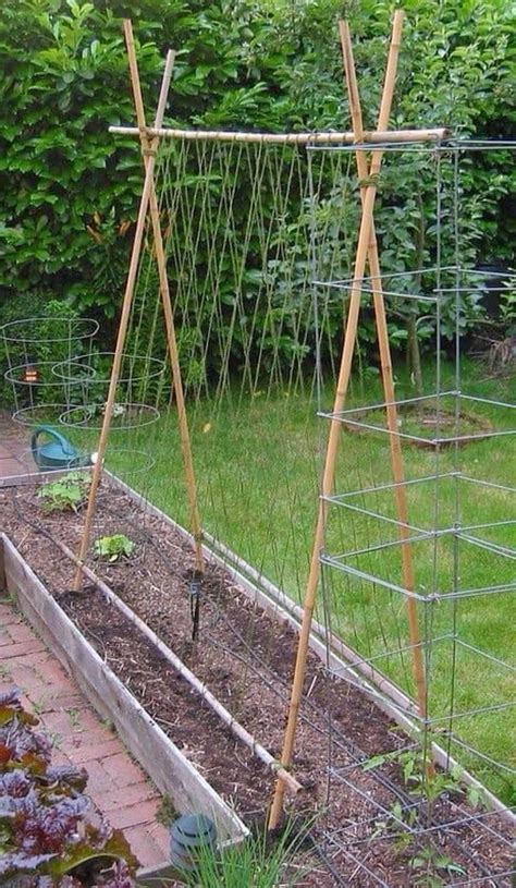 Make Trellis At Home