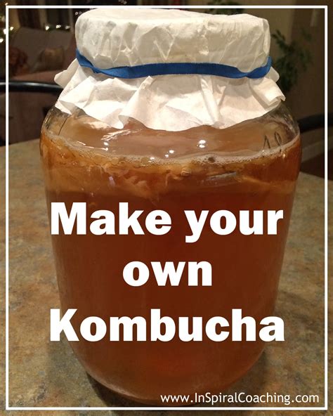 make your own kombucha tea