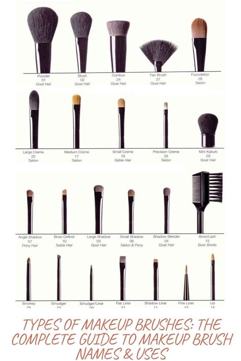 Makeup Brush Types