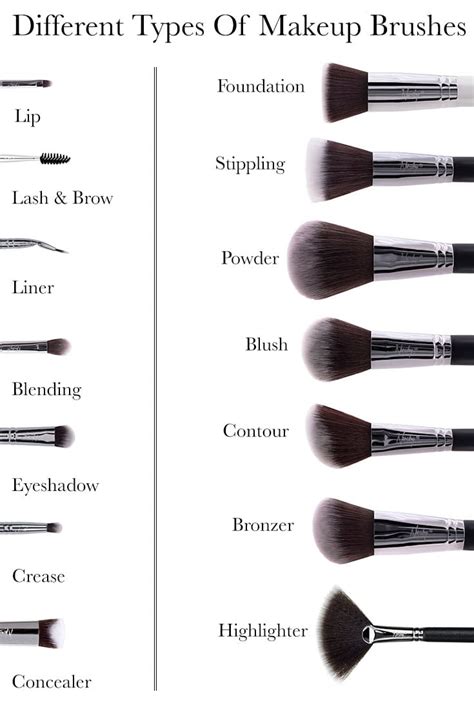 Makeup Brushes Different Types